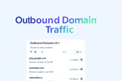 出站域名流量