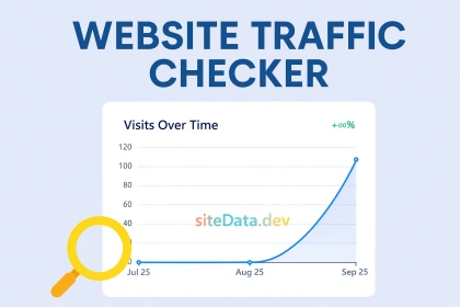 网站流量检查器
